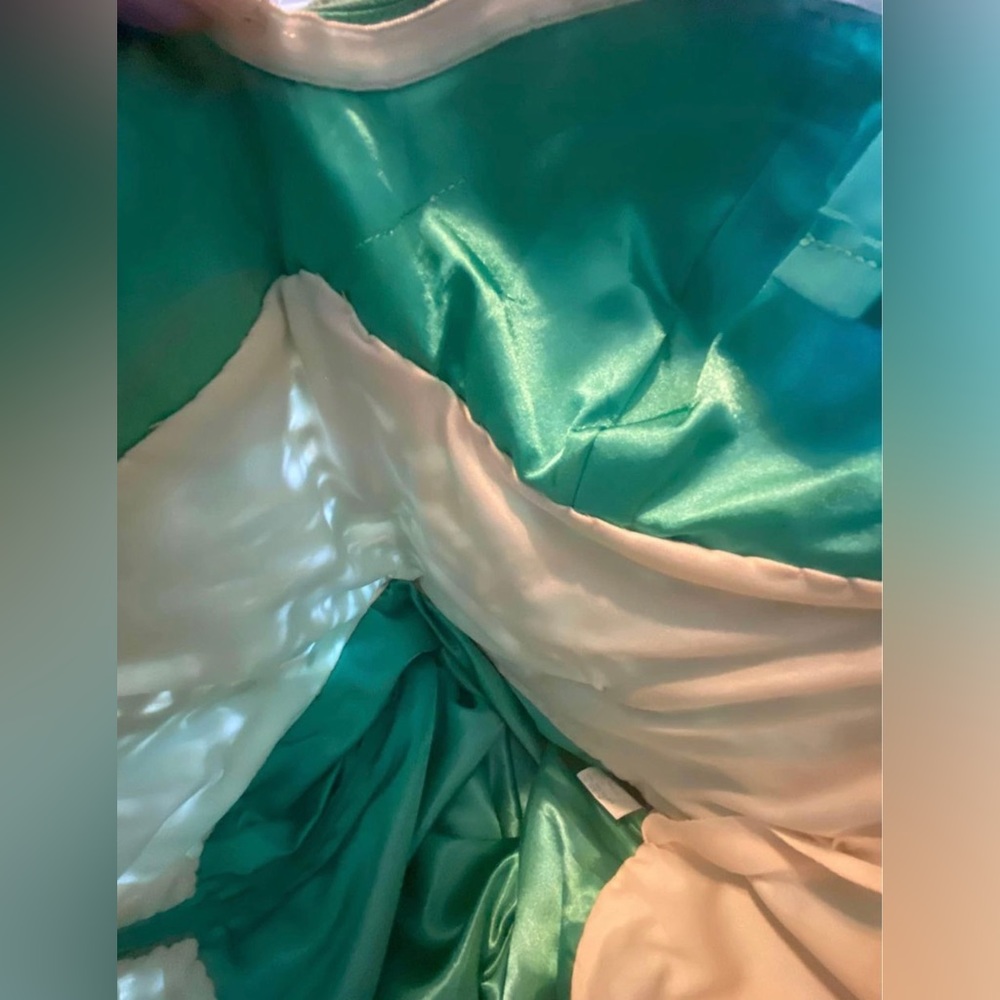 Prom Dress - Picture 6 of 7